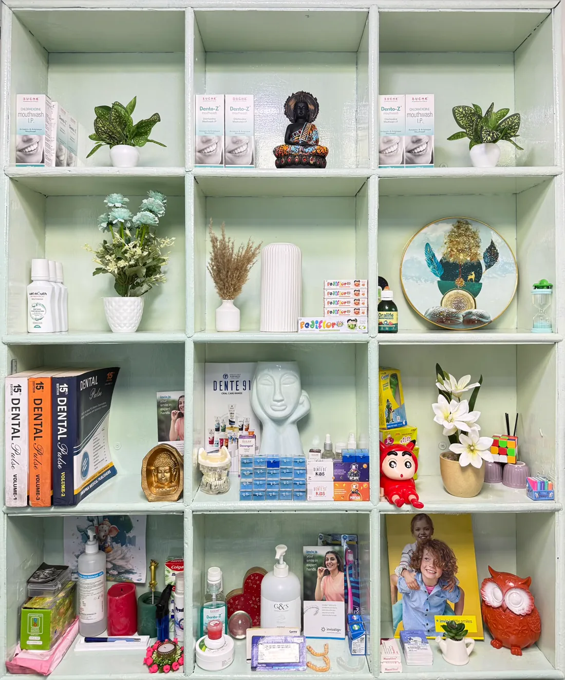 Books, teaching models and display shelves inside our clinic